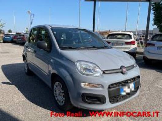 usato FIAT Panda