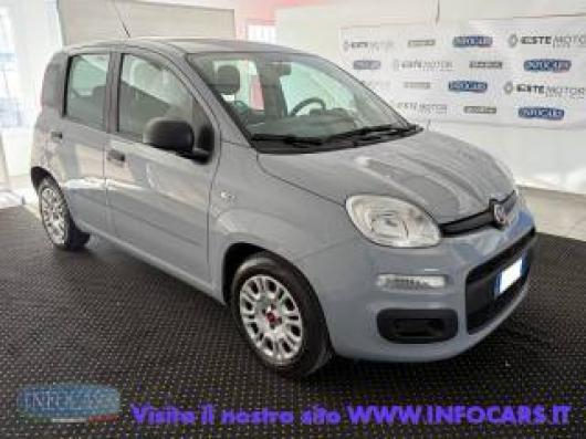 usato FIAT Panda