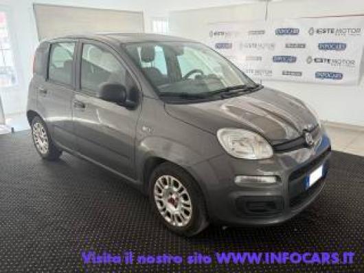 usato FIAT Panda