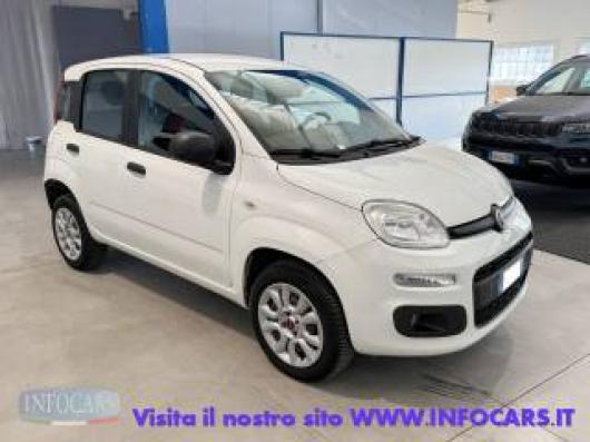 usato FIAT Panda