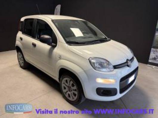 usato FIAT Panda