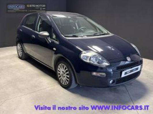 usato FIAT Punto