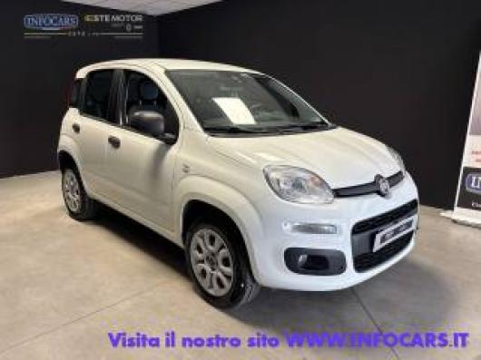 usato FIAT Panda