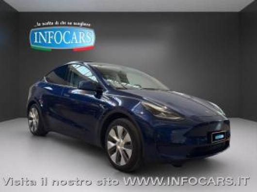 usato TESLA Model Y