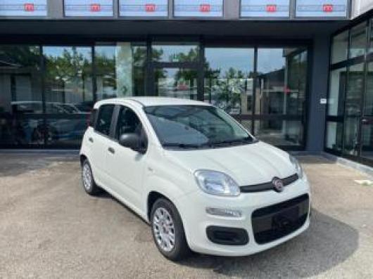 usato FIAT Panda