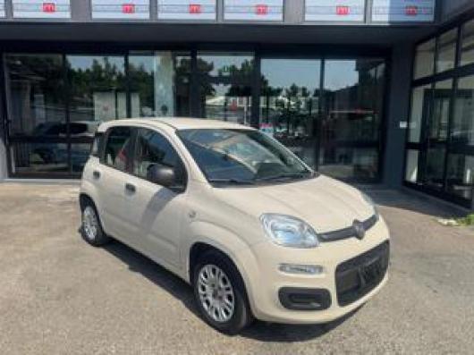 usato FIAT Panda