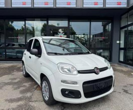 usato FIAT Panda