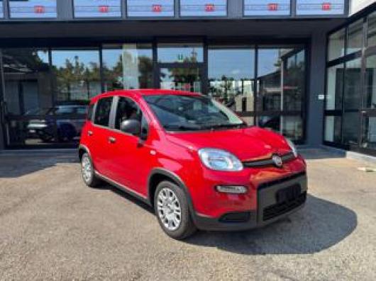 usato FIAT Panda