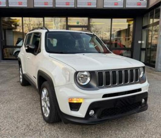 usato JEEP Renegade