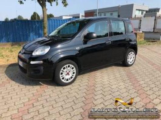 usato FIAT Panda