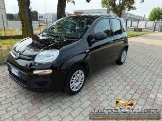 usato FIAT Panda
