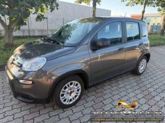 usato FIAT Panda