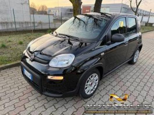 usato FIAT Panda