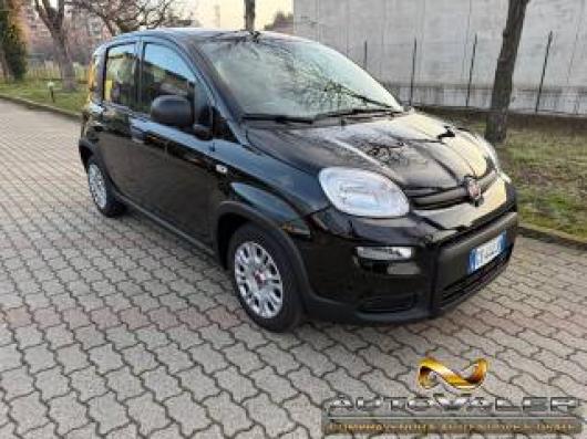 usato FIAT Panda