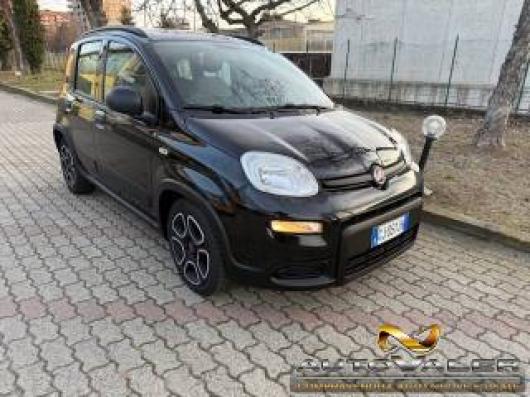 usato FIAT Panda