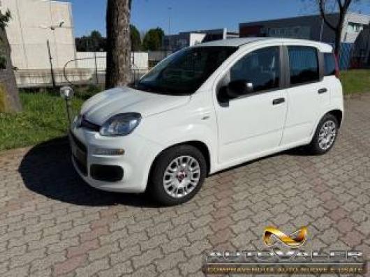 usato FIAT Panda