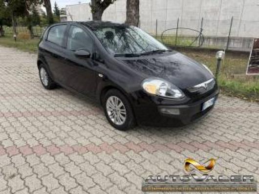 usato FIAT Punto Evo