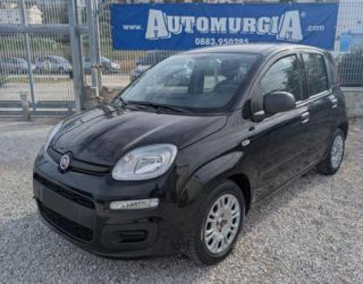 usato FIAT Panda