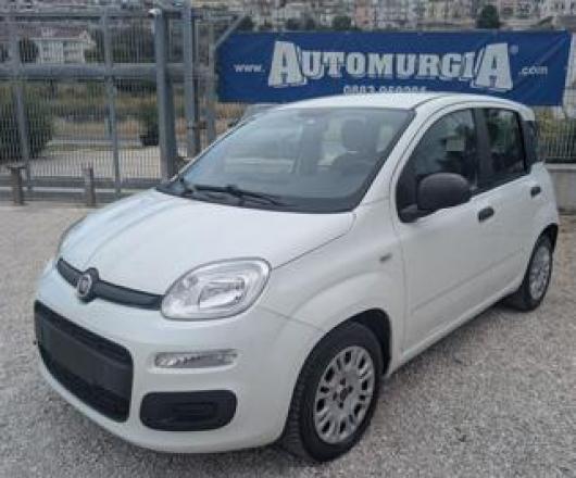 usato FIAT Panda