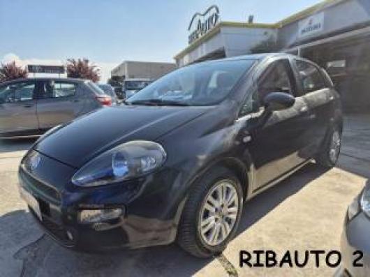 usato FIAT Punto