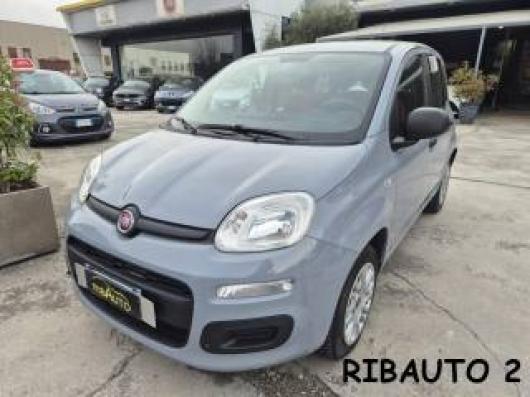 usato FIAT Panda