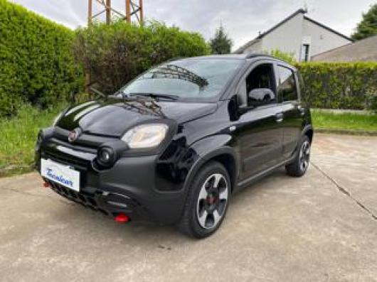 usato FIAT Panda Cross