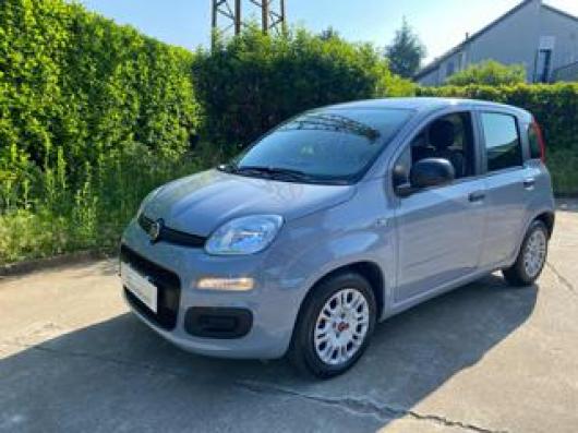 usato FIAT Panda