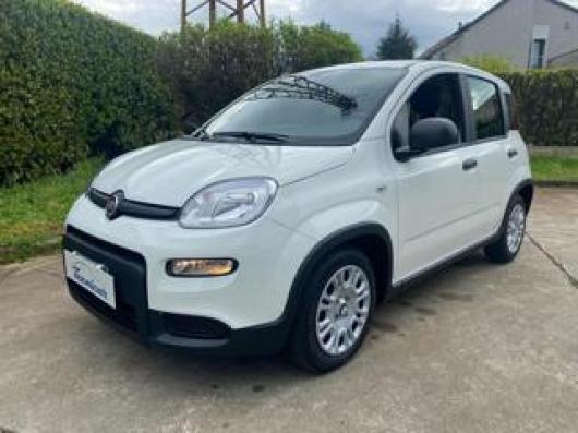usato FIAT Panda