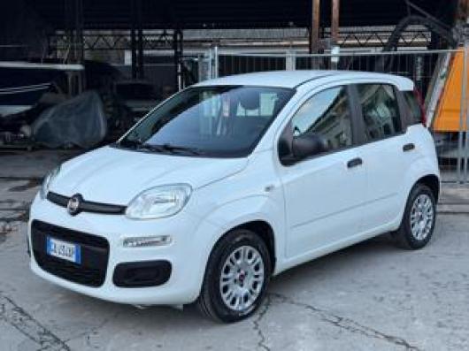 usato FIAT Panda