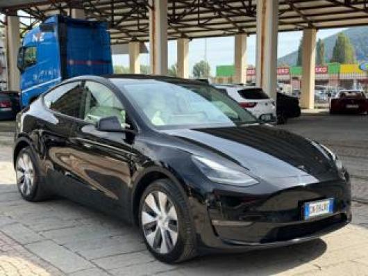 Model Y