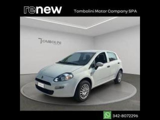 usato FIAT Punto