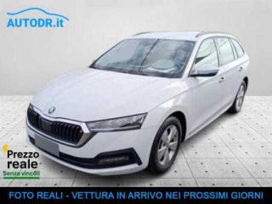 usato SKODA Octavia