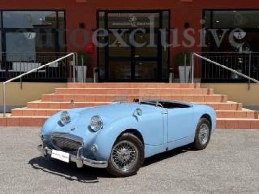 Healey