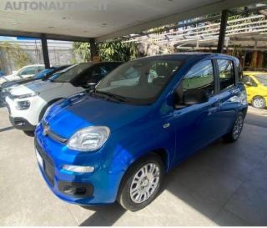 usato FIAT Panda