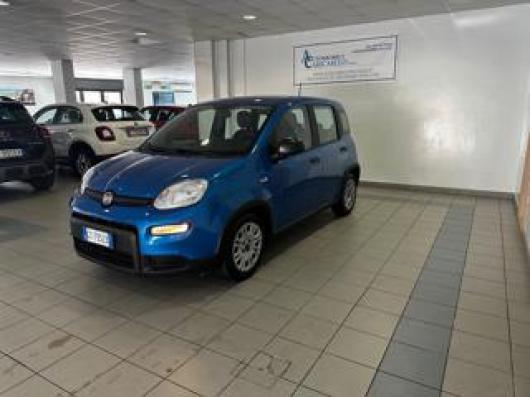 usato FIAT Panda
