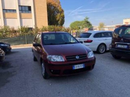 usato FIAT Punto