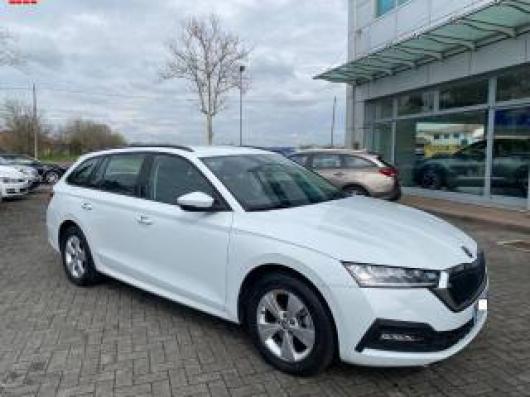 usato SKODA Octavia