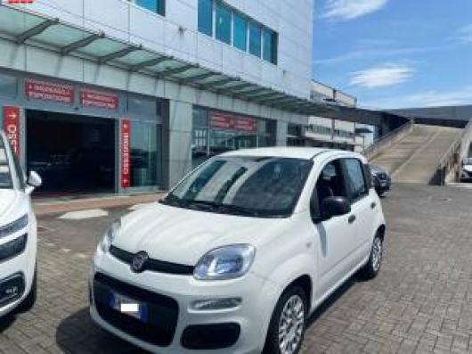 usato FIAT Panda