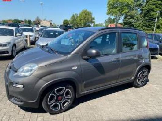 usato FIAT Panda