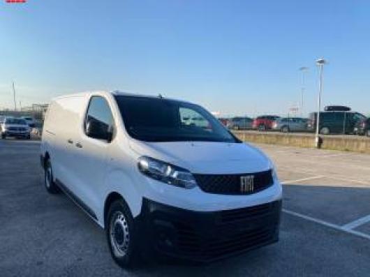 Scudo