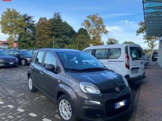 usato FIAT Panda