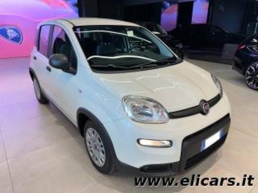usato FIAT Panda