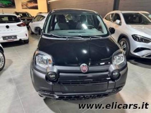usato FIAT Panda