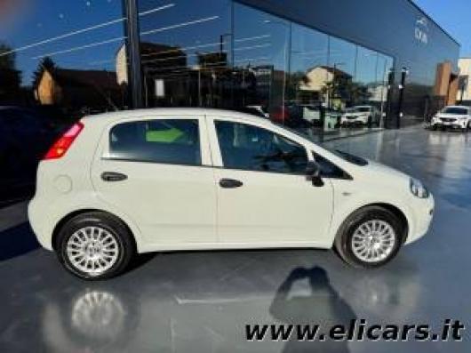usato FIAT Punto