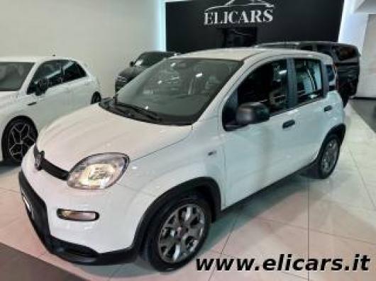 usato FIAT Pandina