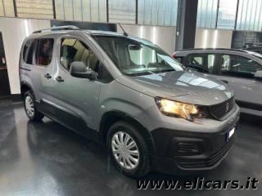 usato PEUGEOT Rifter