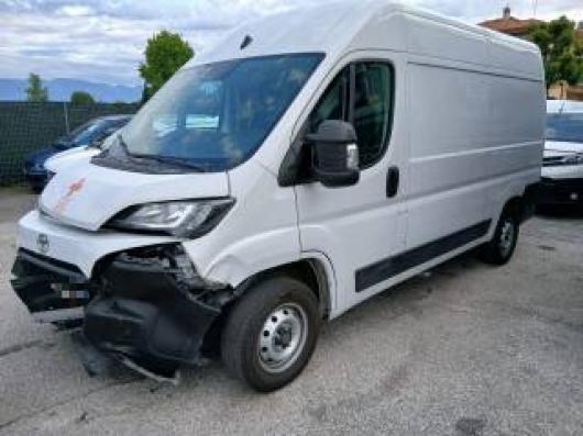 Proace Max