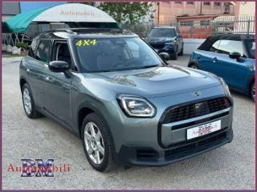usato MINI Countryman