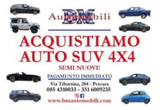 usato MINI Countryman