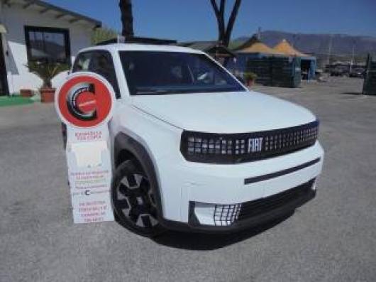 usato FIAT Grande Panda